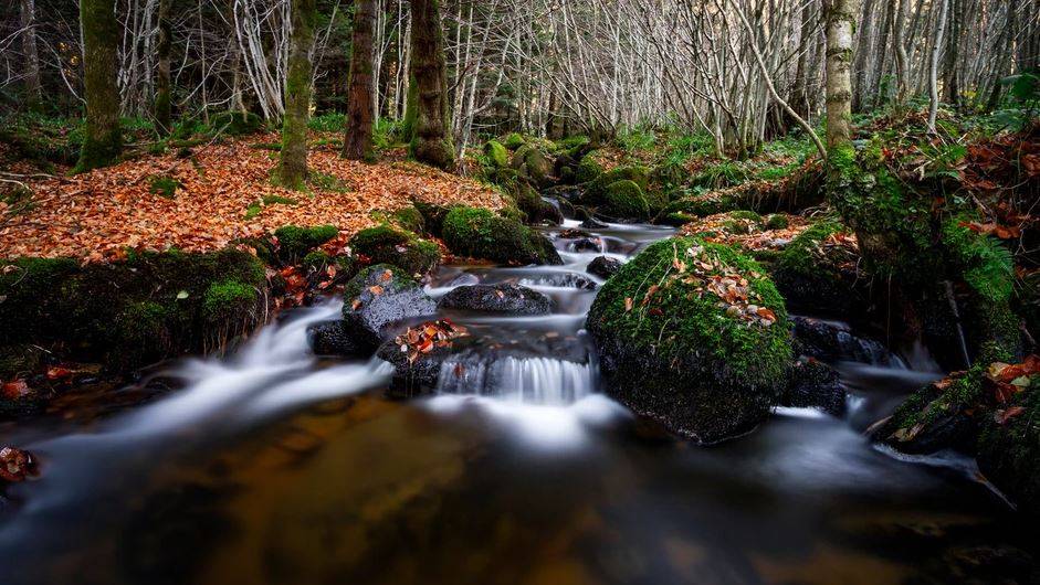 Toscane d'Auvergne ©Ndeth63_photography