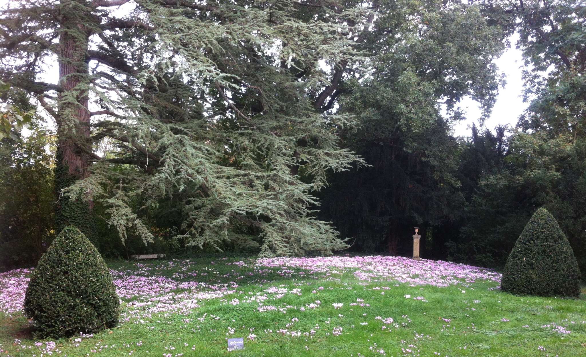 Toscane d'Auvergne - Jardins de la Croze