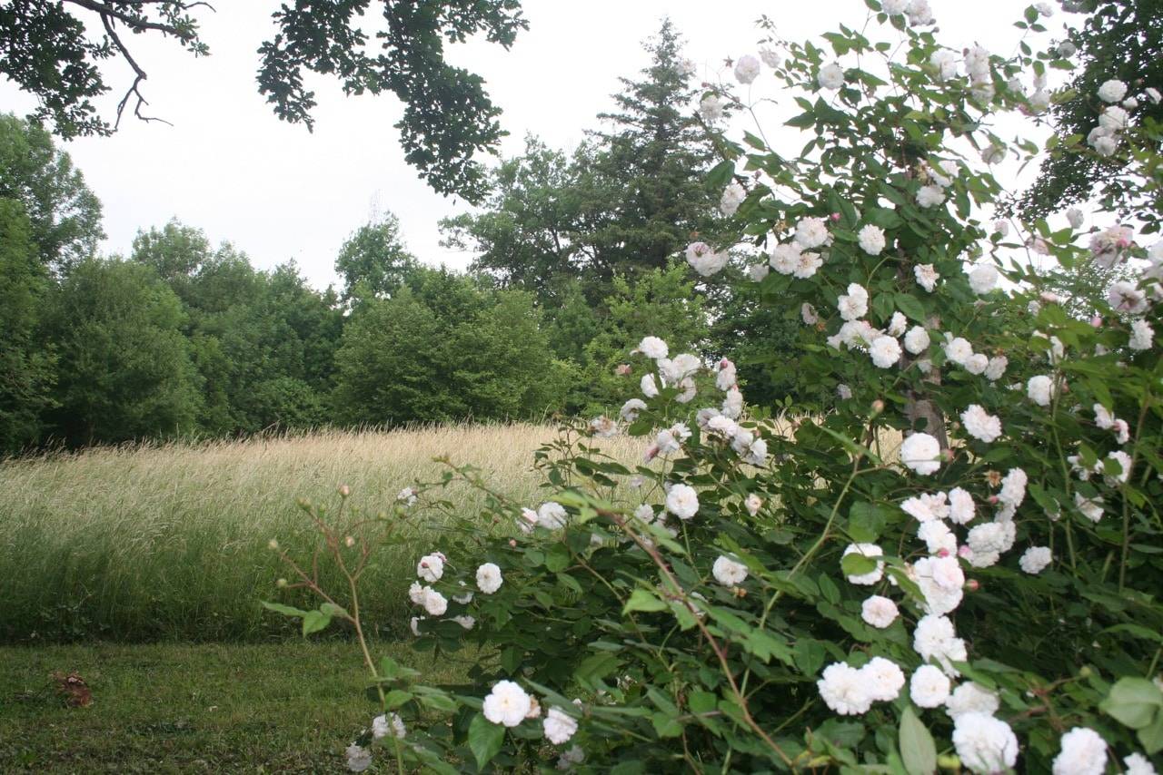 Toscane d'Auvergne - Jardins de la Croze