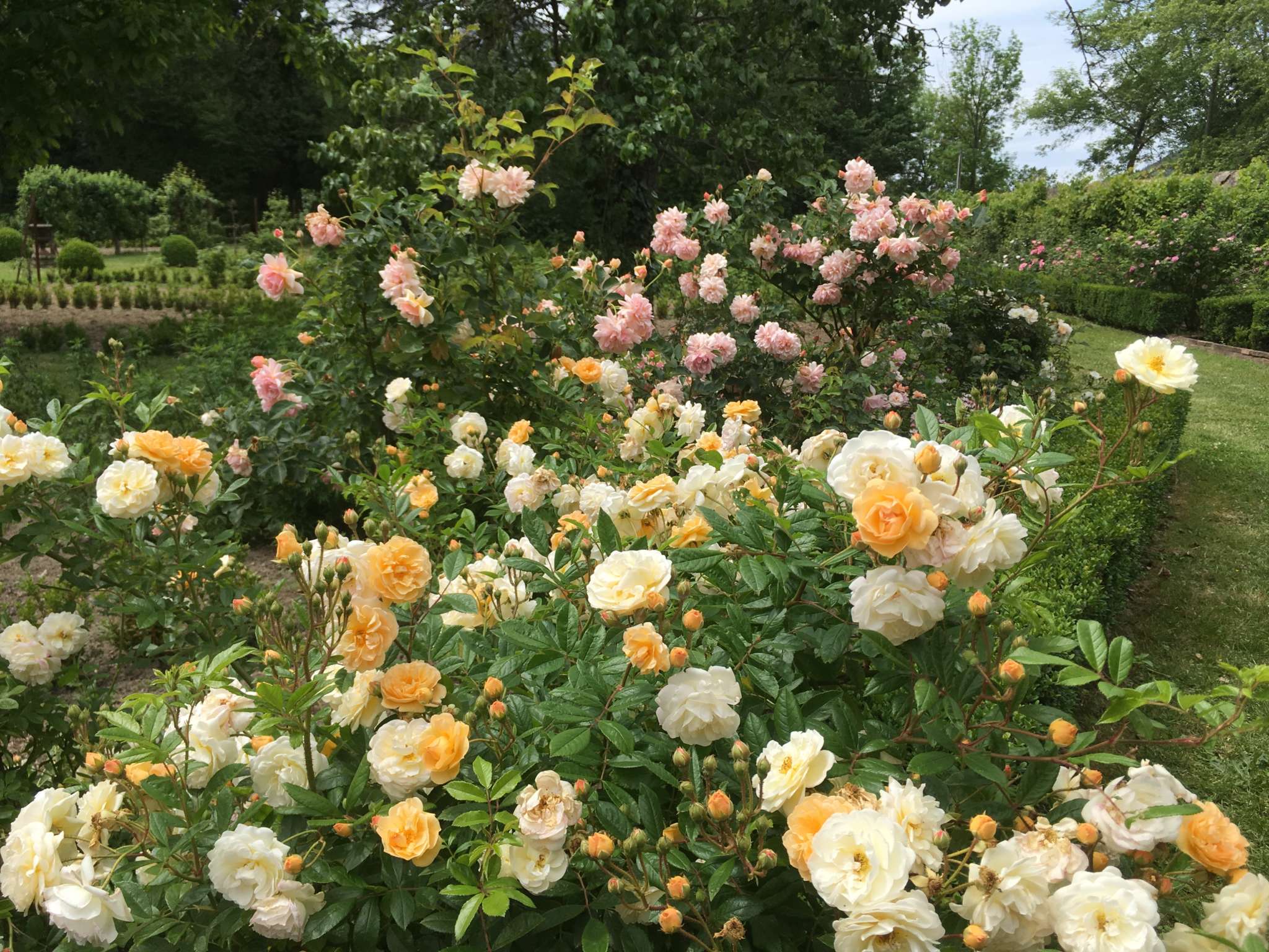 Toscane d'Auvergne - Jardins de la Croze