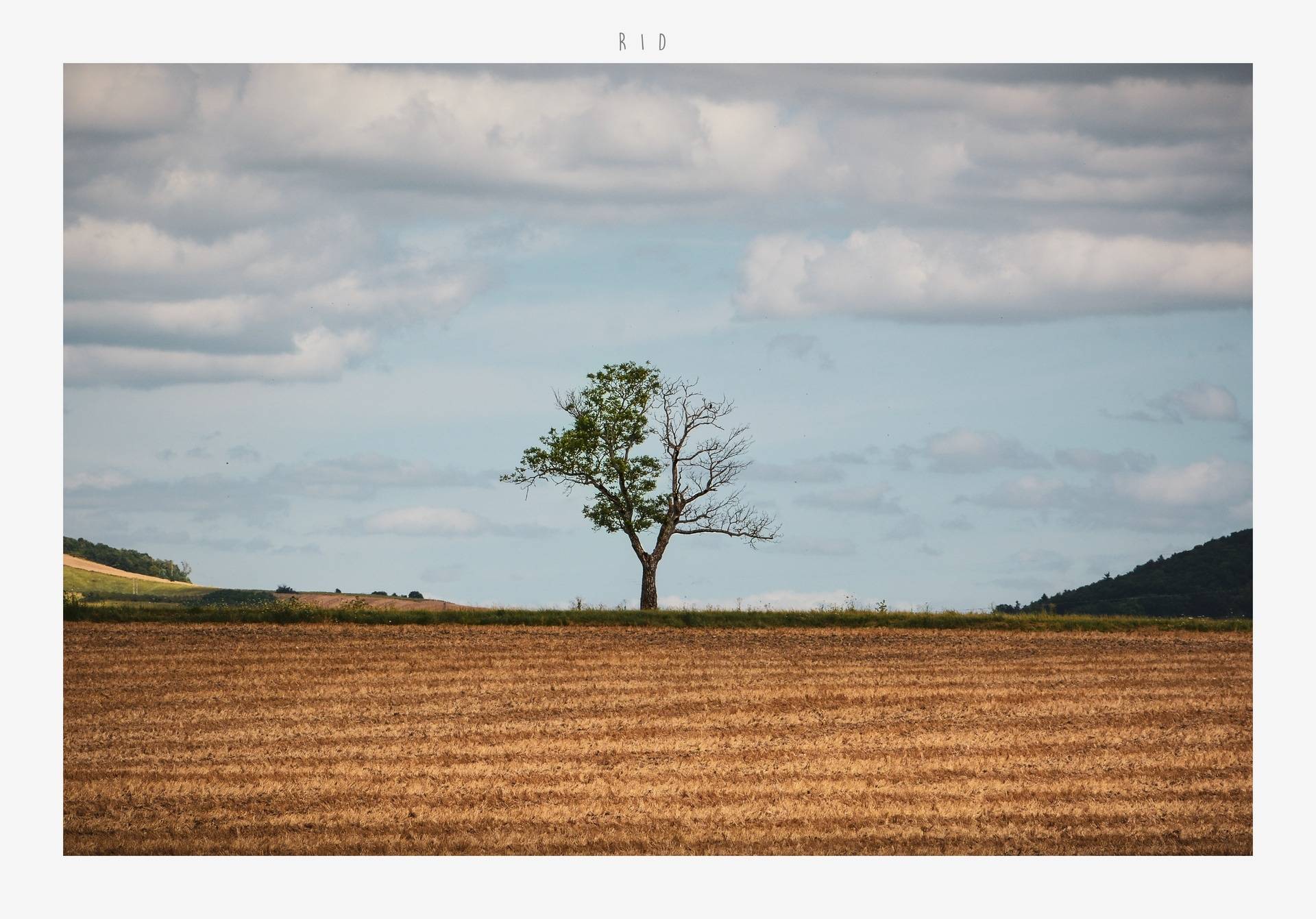 Toscane d'Auvergne ©Vincent AMARIDON