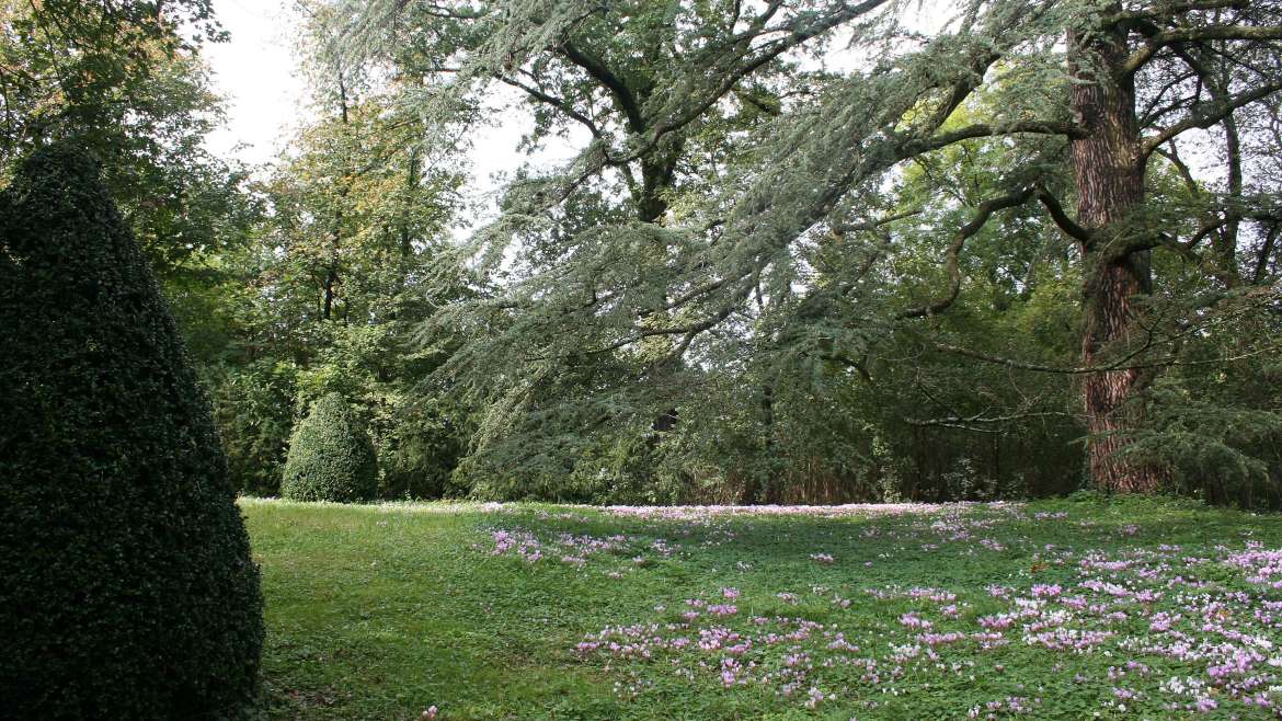 Visiter les Jardins de la Croze