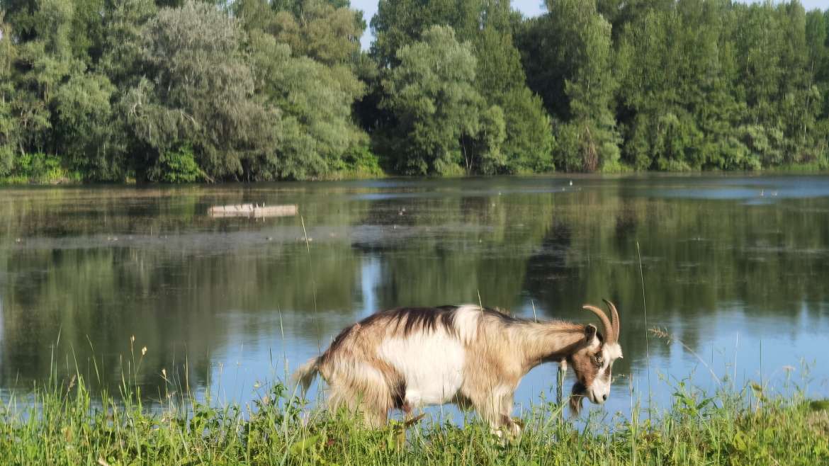 L’Allier à vélo avec la voie verte près de Clermont