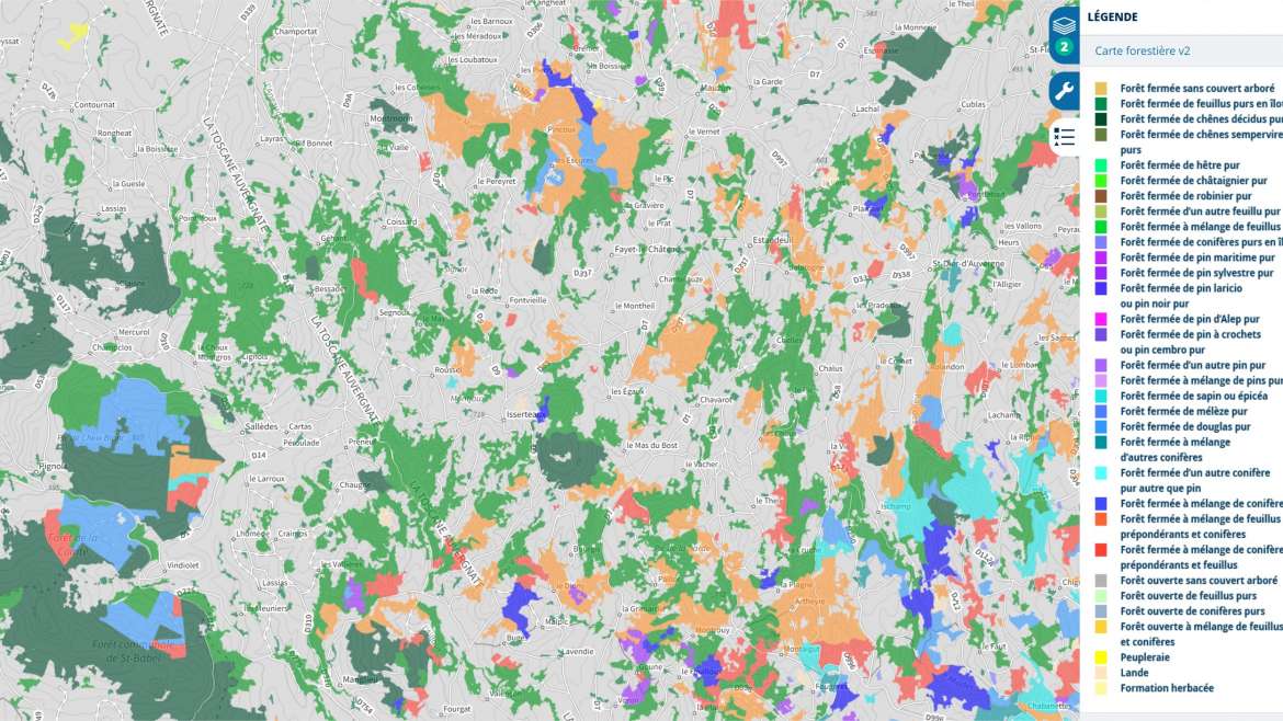 À la recherche des chanterelles et des cèpes dans les bois enchantés de la Toscane auvergnate