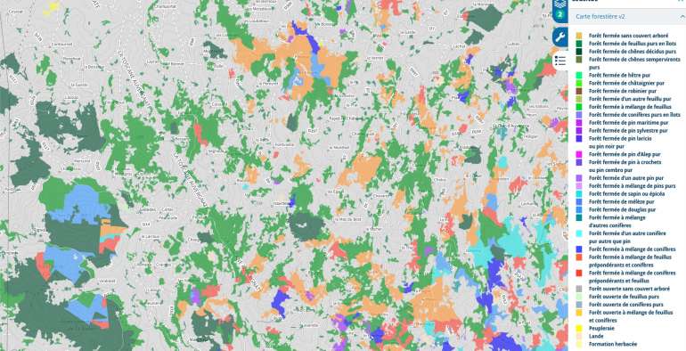 À la recherche des chanterelles et des cèpes dans les bois enchantés de la Toscane auvergnate